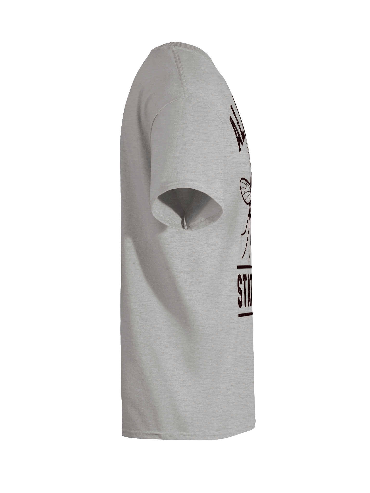 Alaska State Bird Mosquito - Tee product image (24)