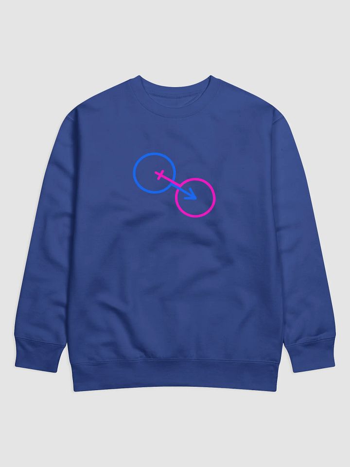 Interconnected Male & Female Only Premium Sweatshirt product image (1)