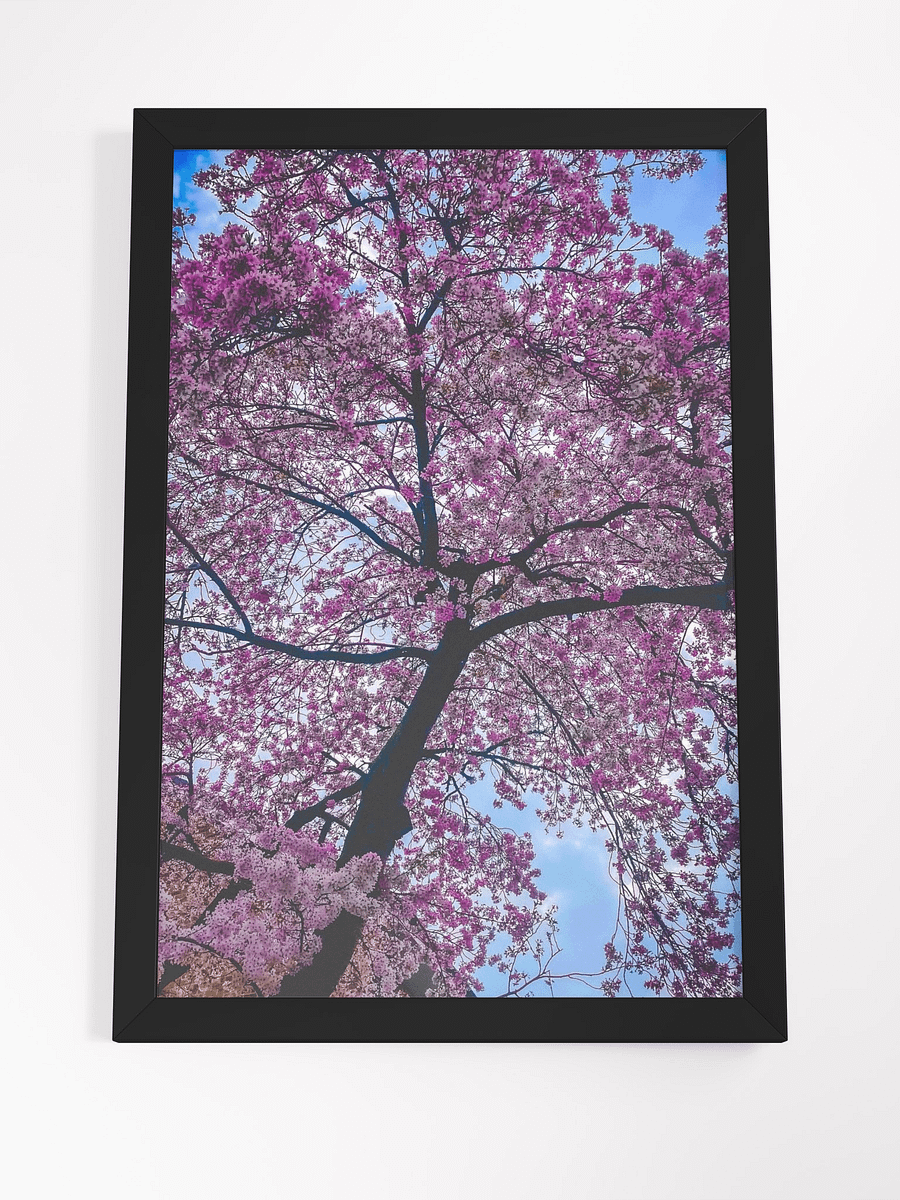 Blush In Bloom (FRAMED) product image (4)