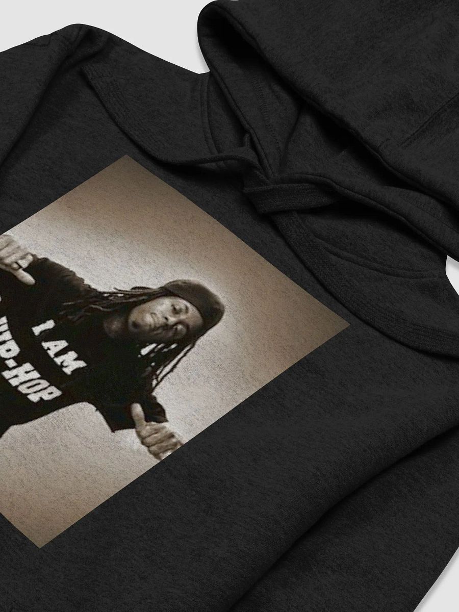 WEEZY F. BABY(I AM HIP HOP) product image (3)