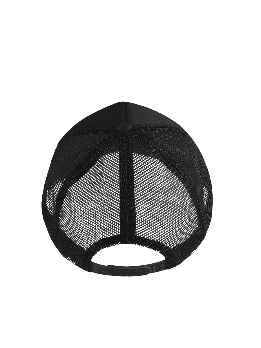 Viper Traxx Chrome Logo Hat product image (2)