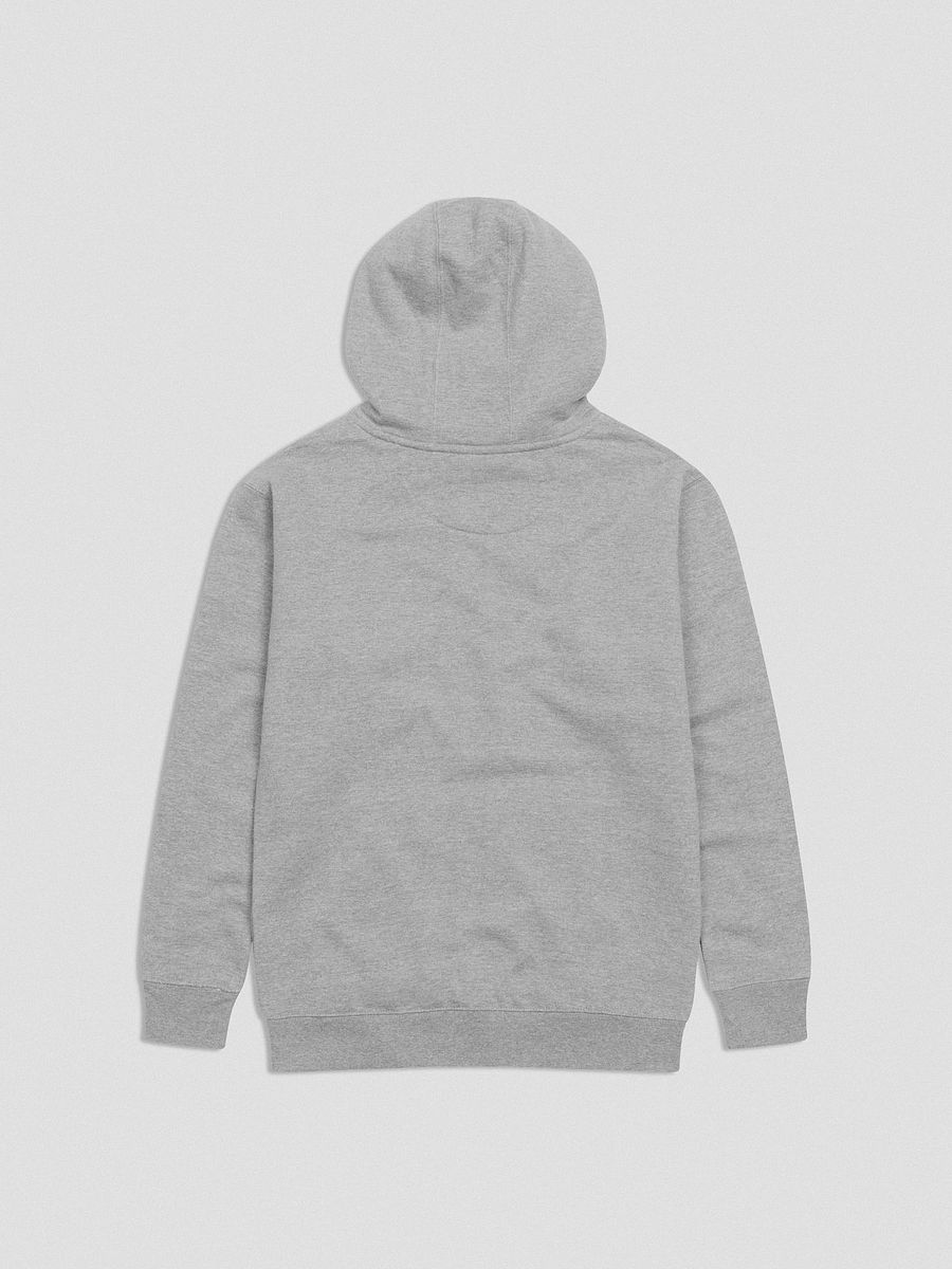 Vintage University Hoodie (Premium) product image (3)