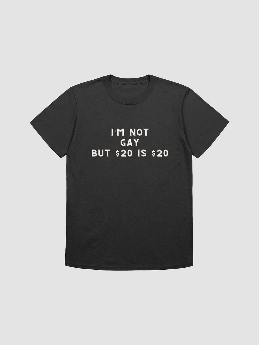I'm Not Gay But $20 is $20 Unisex T-Shirt V3 product image (1)
