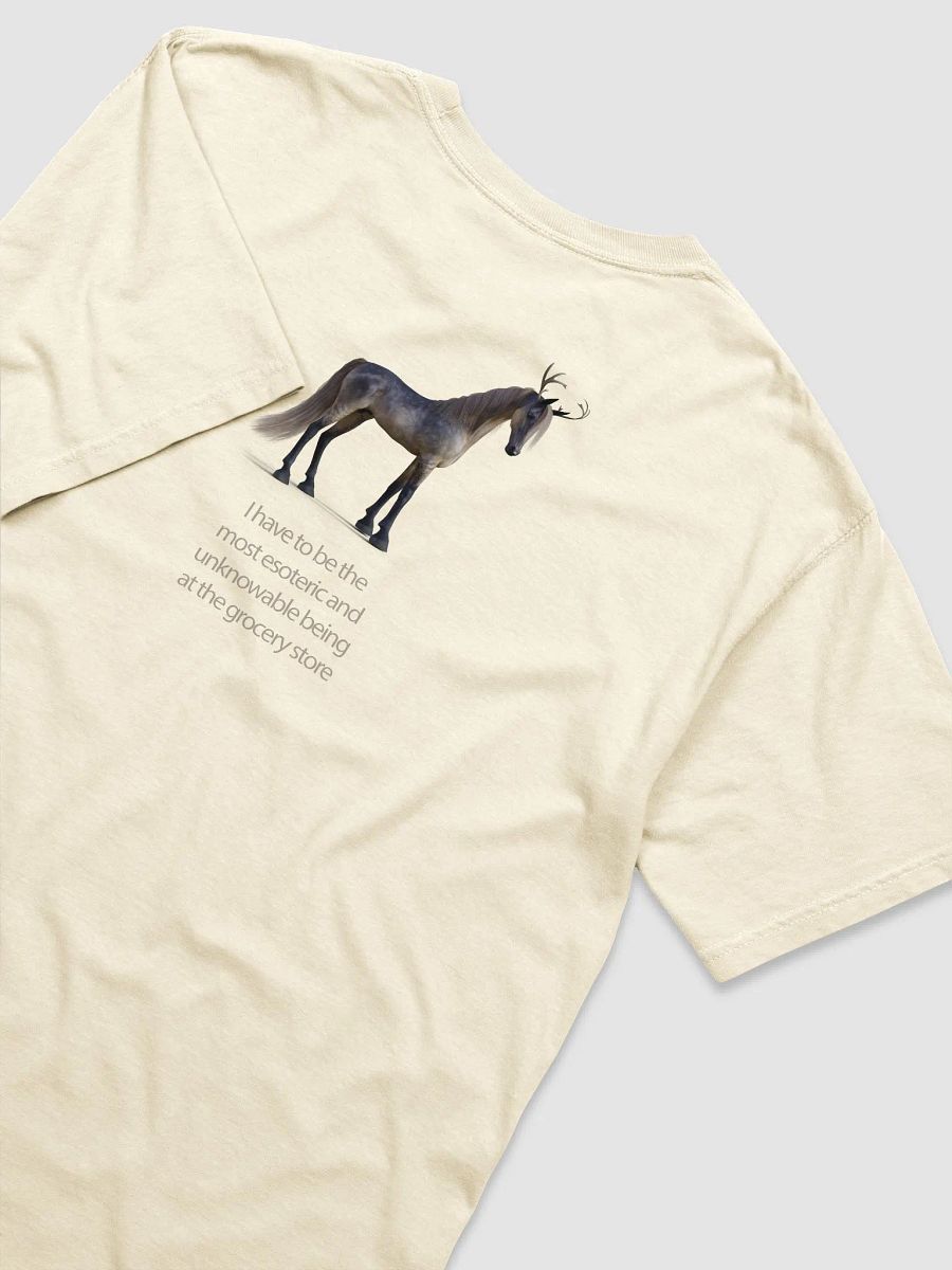 'I have to be the most esoteric being...' T Shirt (design on back) product image (3)