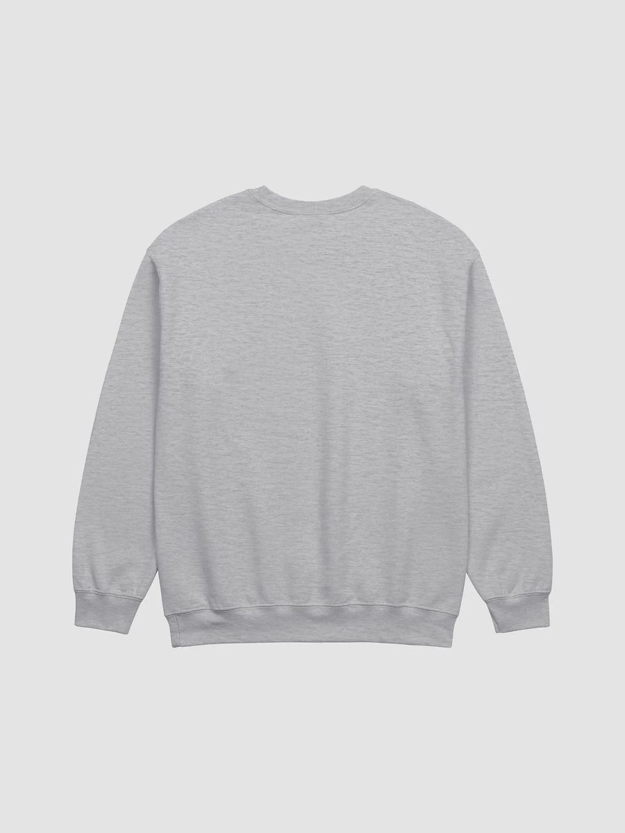 Pickleball League Sweatshirt product image (2)
