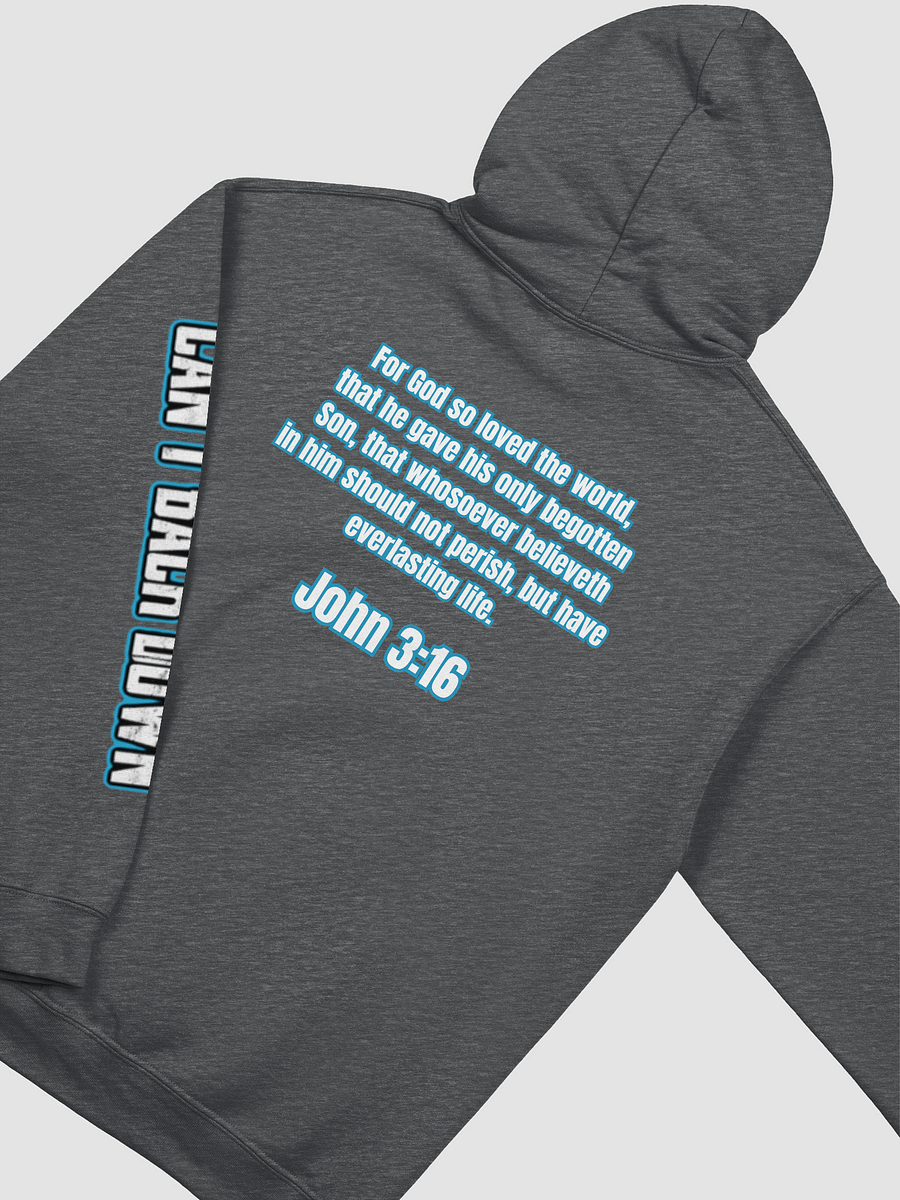 TeNN4OUR (Scripture) Hoodie (John 3:16) product image (12)