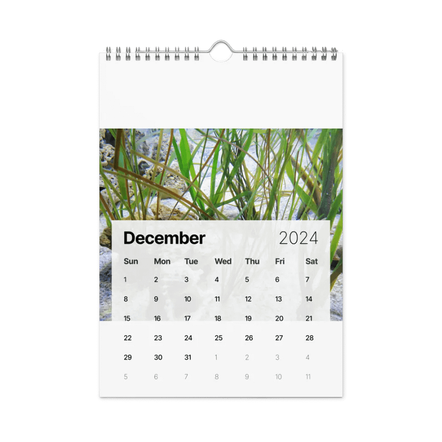 new years product image (11)
