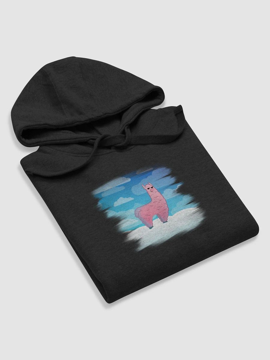 Marble Fest 30 - Hoodie product image (6)