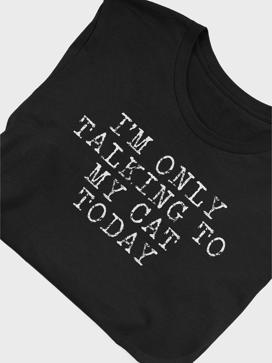 Only Talking To My Cat T-Shirt product image (32)