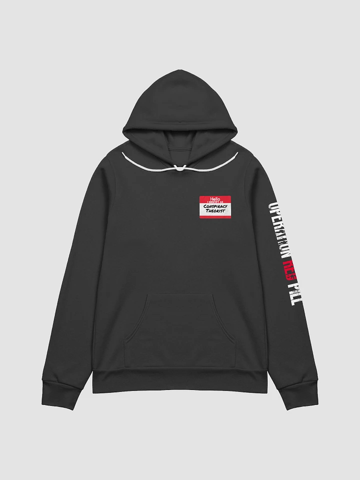 Conspiracy Pronouns Hoodie product image (1)