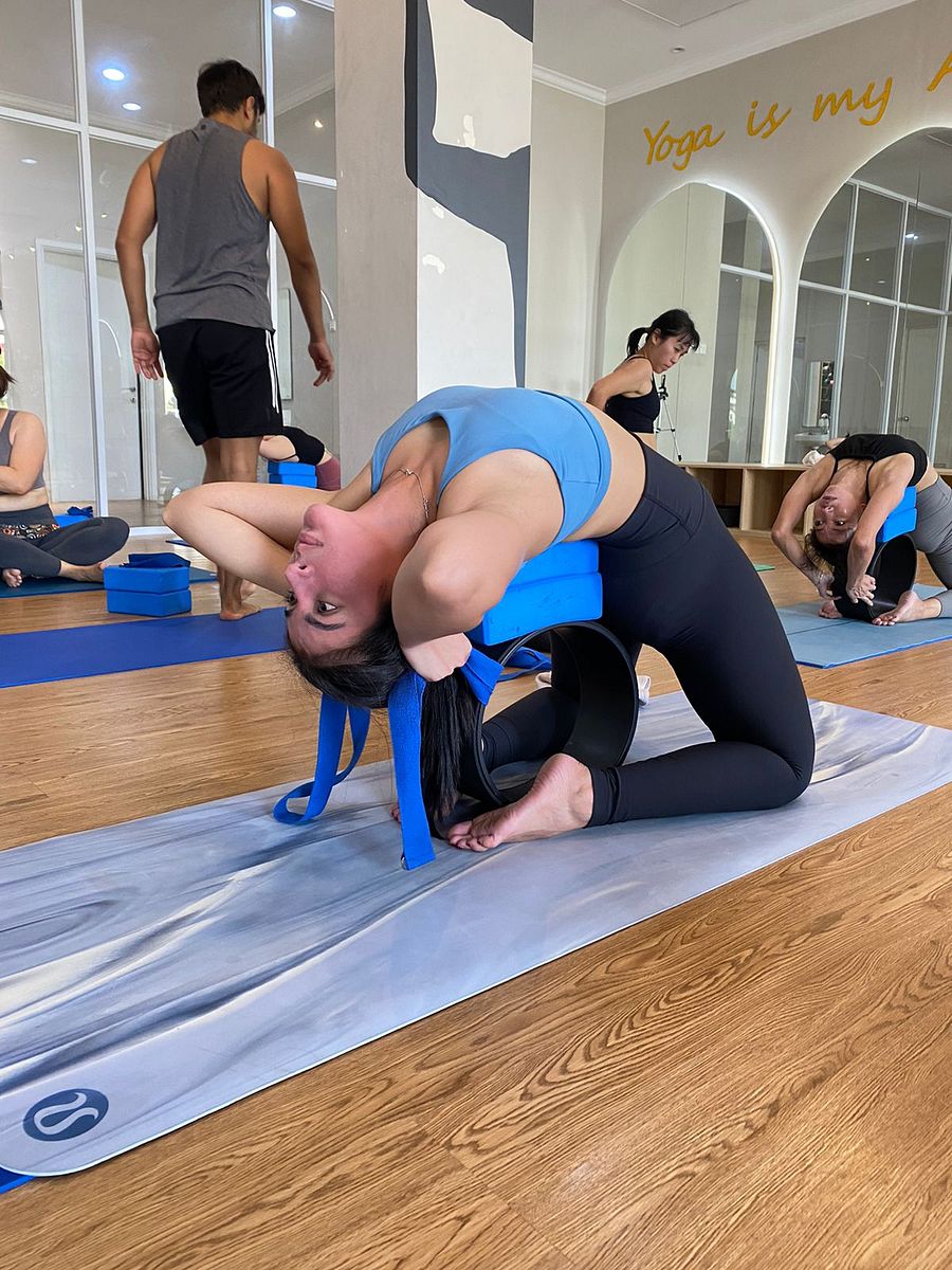 Wheel of Wellness: 60-Minute Yoga Flow | Transformative Sequence For All Level Practitioners | Level ★★ product image (4)