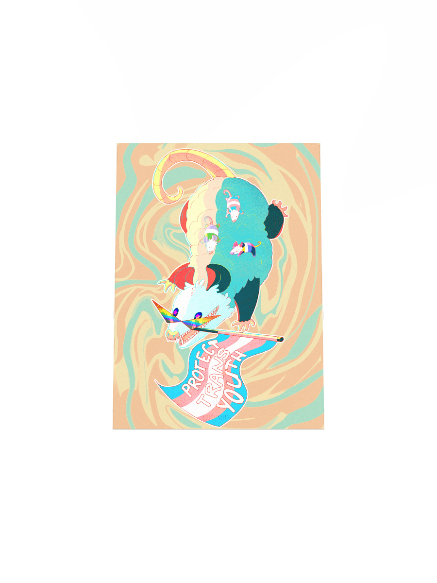 Protect Trans Youth Possum Print product image (7)