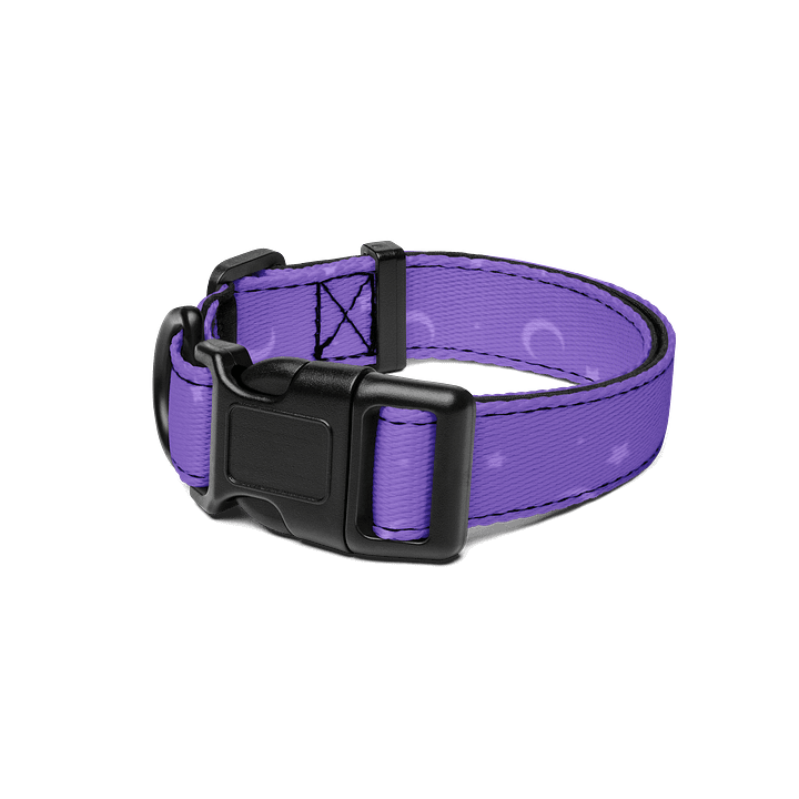 Witch's Hat Collar product image (1)