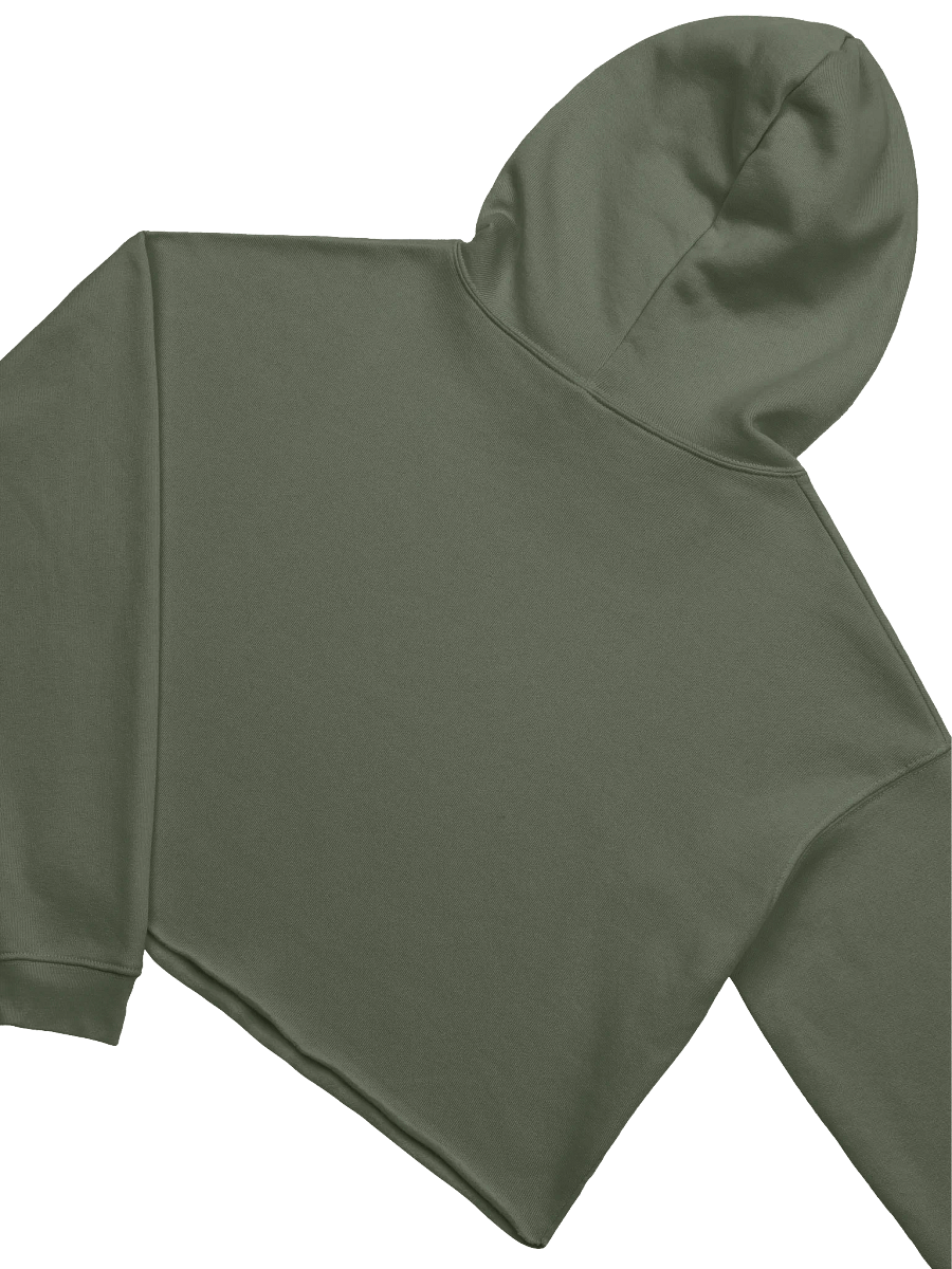 Unhinged Plumbob Crop Hoodie product image (4)