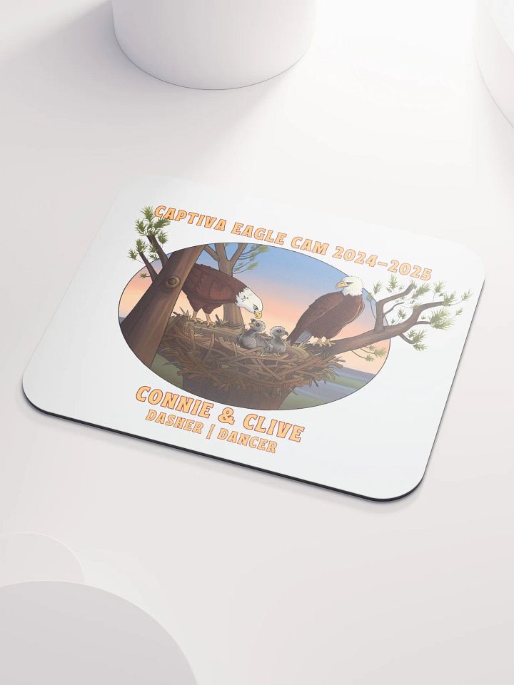 Art | Mouse Pad | Captiva Eagle Cam 2024-2025 product image (2)