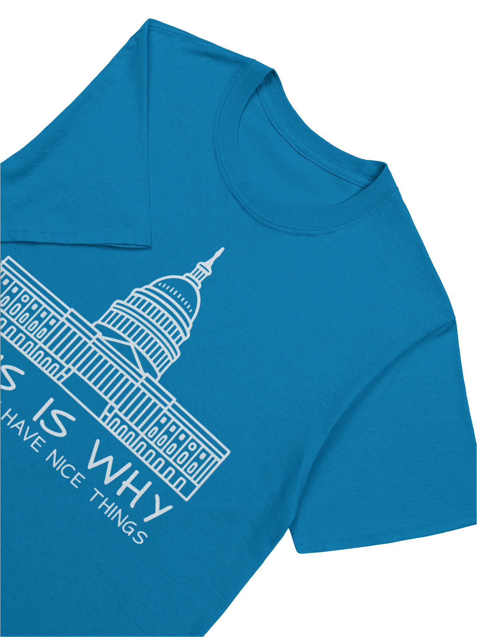 This Is Why We Can’t Have Nice Things T-Shirt product image (5)