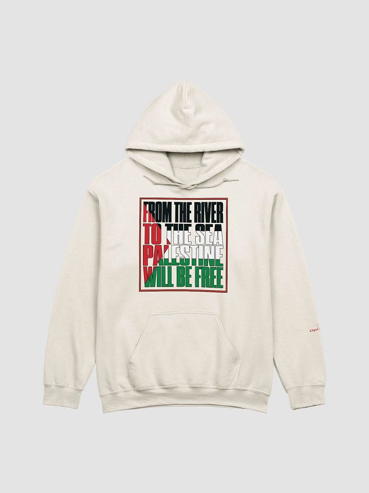 From The River To The Sea - Gildan Classic Hoodie product image (26)