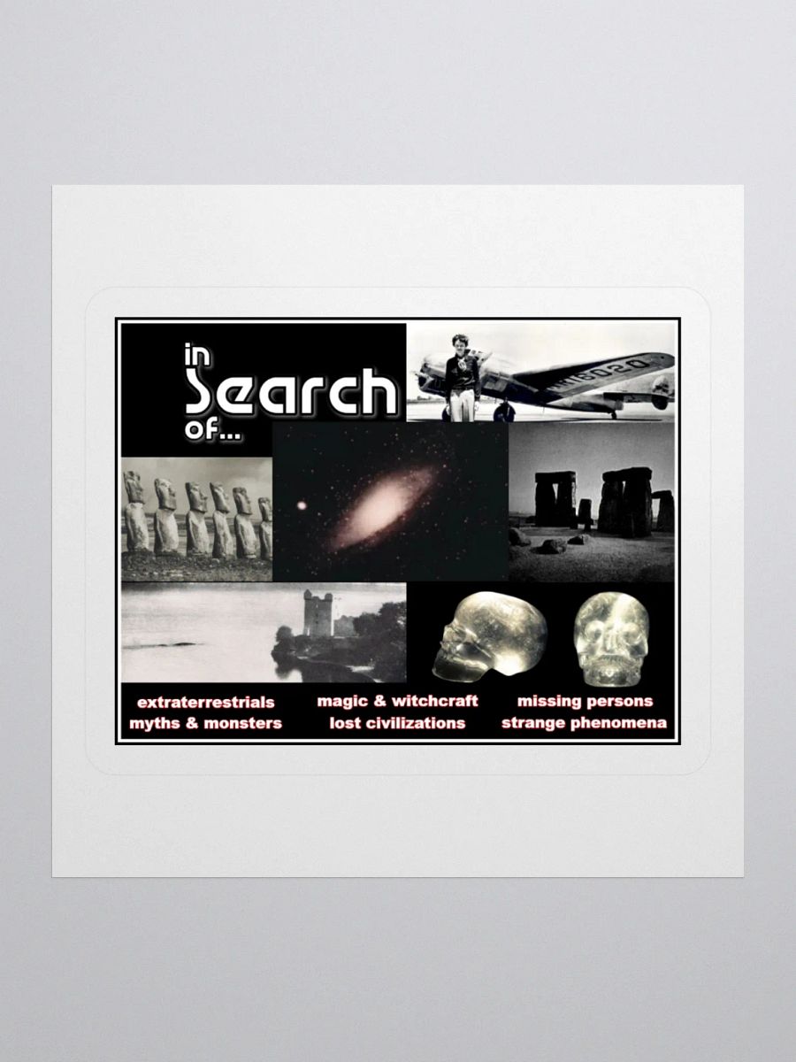 In Search Of...The Sticker product image (1)