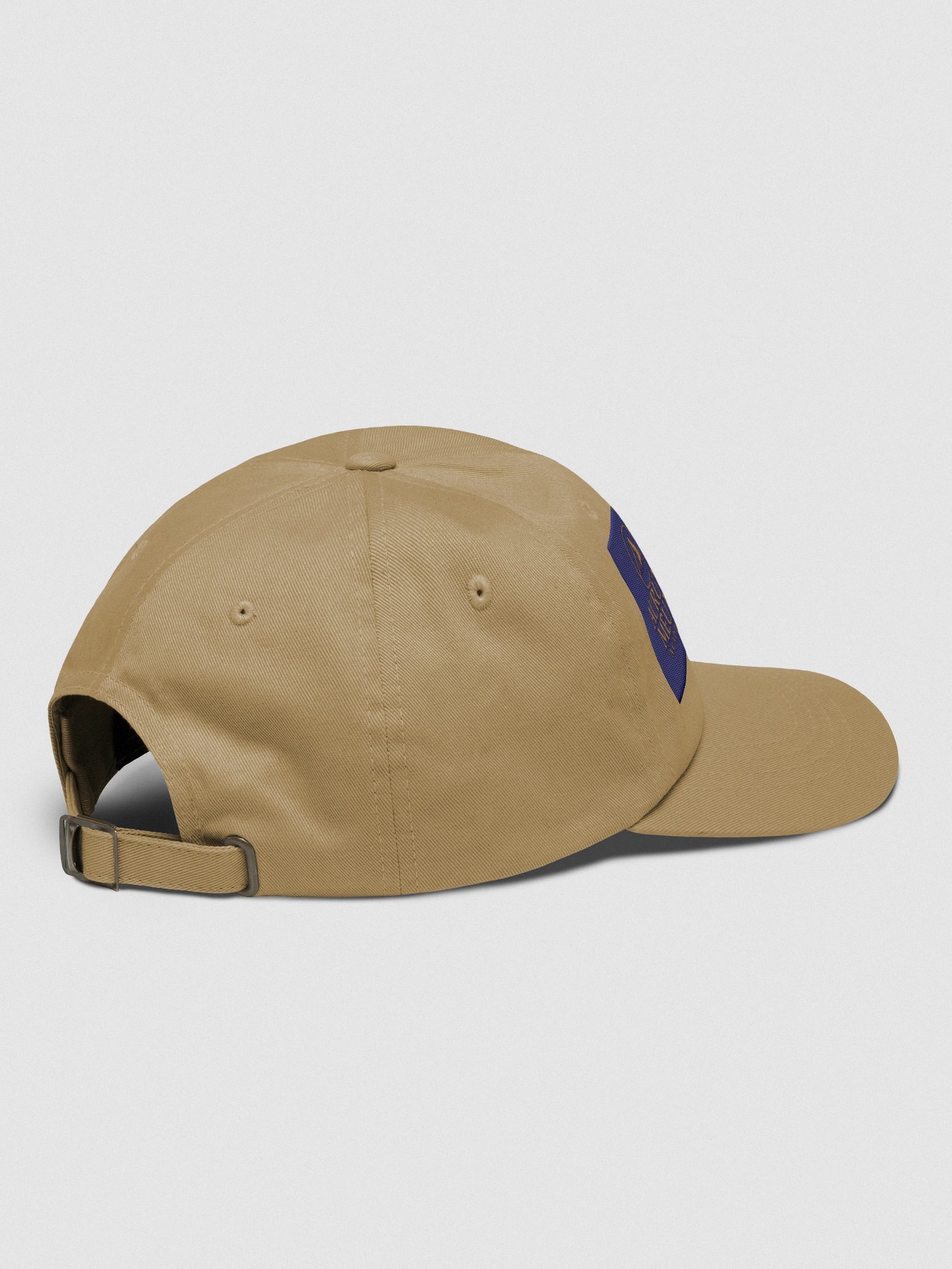 Aurum Meum AI Academy & AI Gold Maps Dad's CAP product image (4)