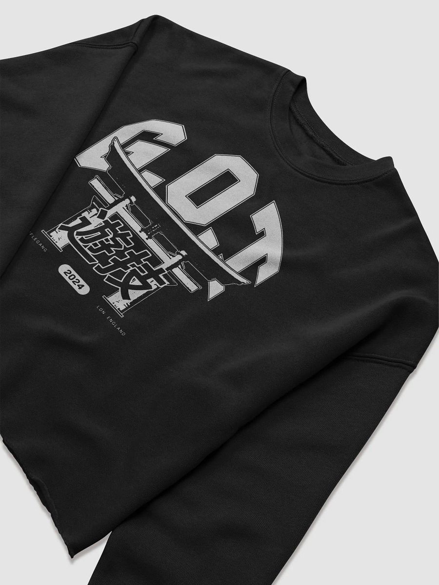 G.O.T CROPPED VARSITY JUMPER product image (5)