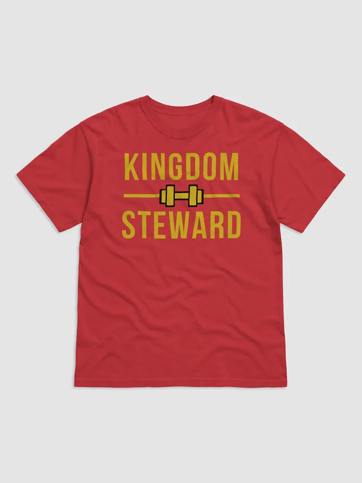 Kingdom Steward product image (1)