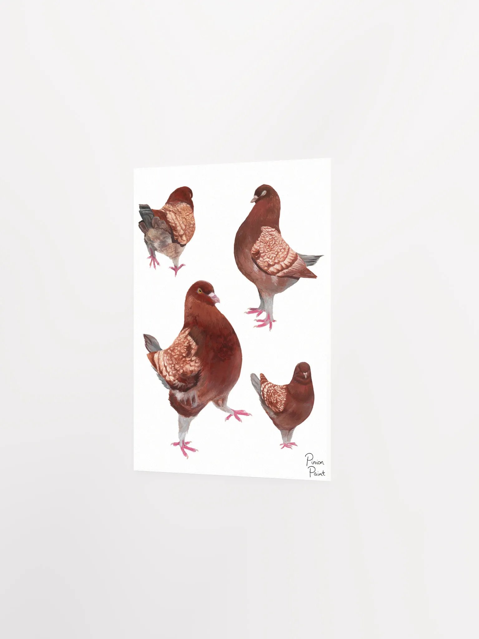 Merlot pigeon print product image (2)