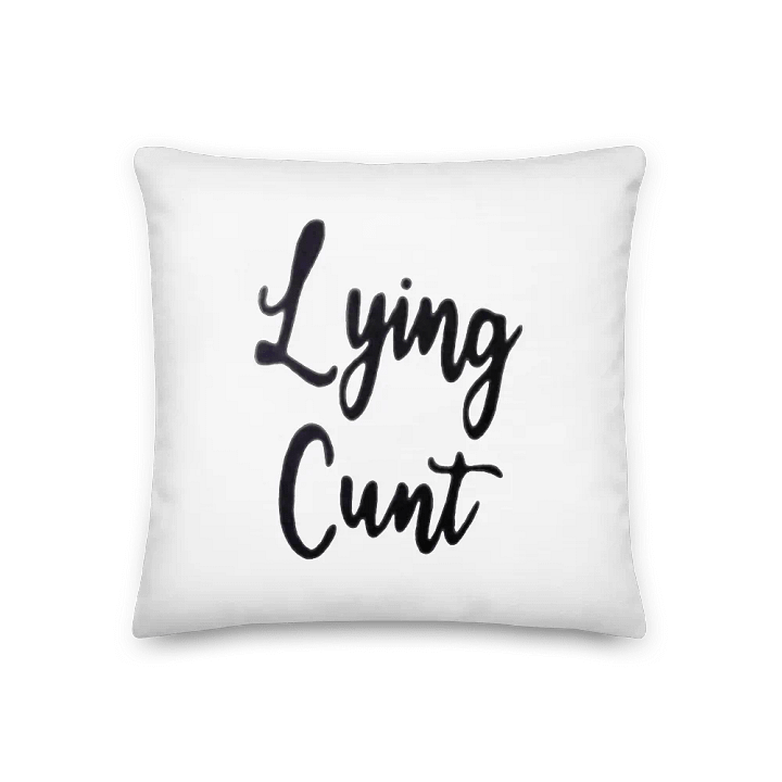 C*nt Pillow from ‘Somebody Somewhere’ product image (2)