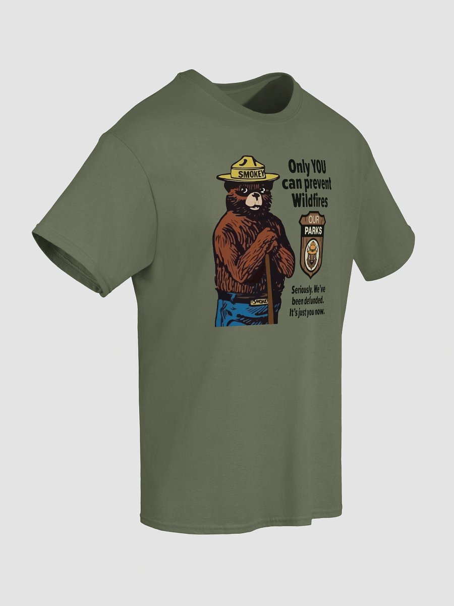Only YOU Can Prevent Wildfires, We've been DEFUNDED! Smokey Our Parks Bear Alt National Parks T-Shirt product image (68)