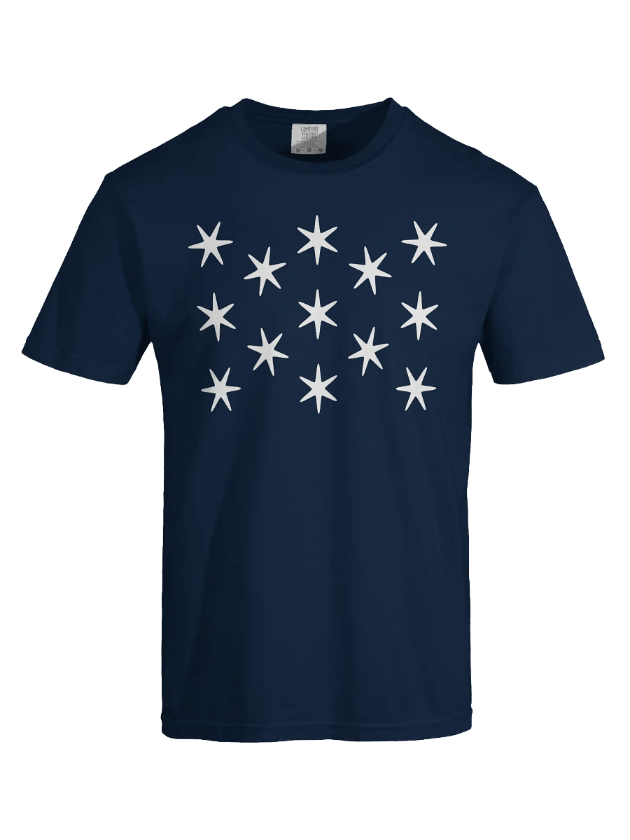 Washington Standard T-shirt product image (5)