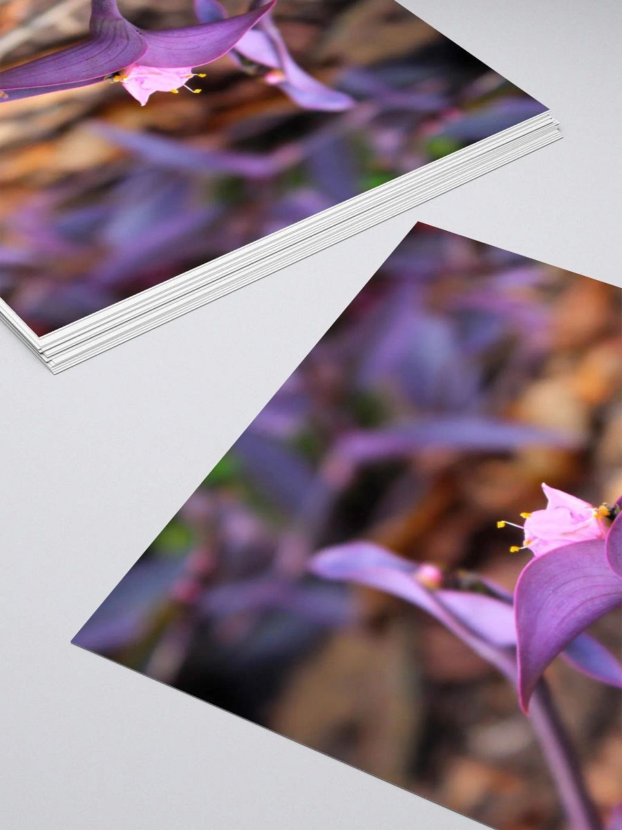A Study in Flowers 8 - Sticker version product image (16)