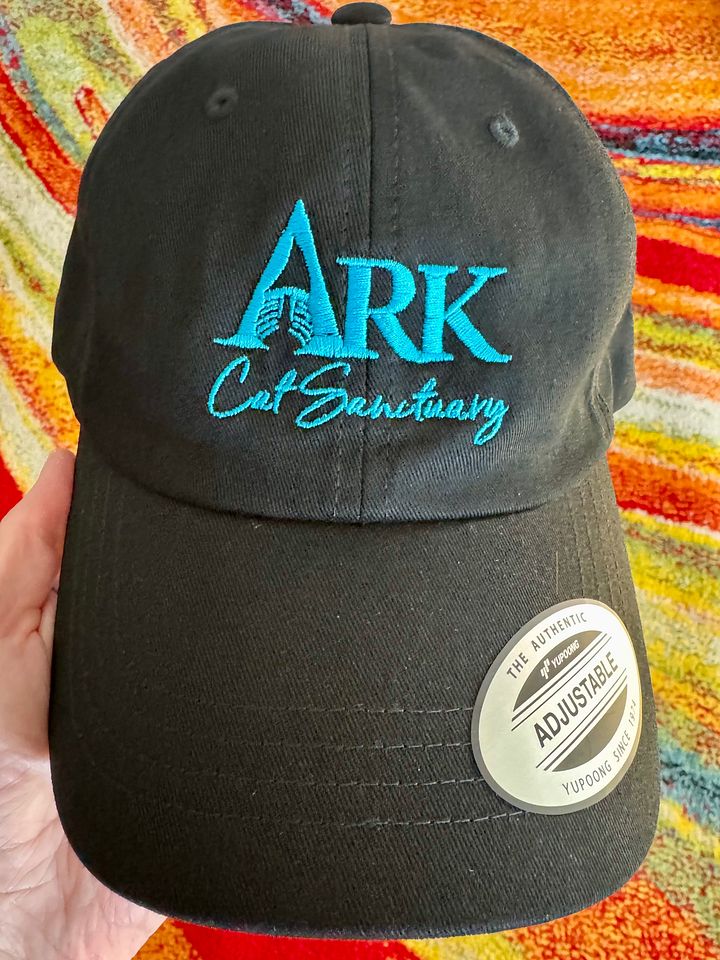 Ark Embroidered Hat - Black or White product image (1)