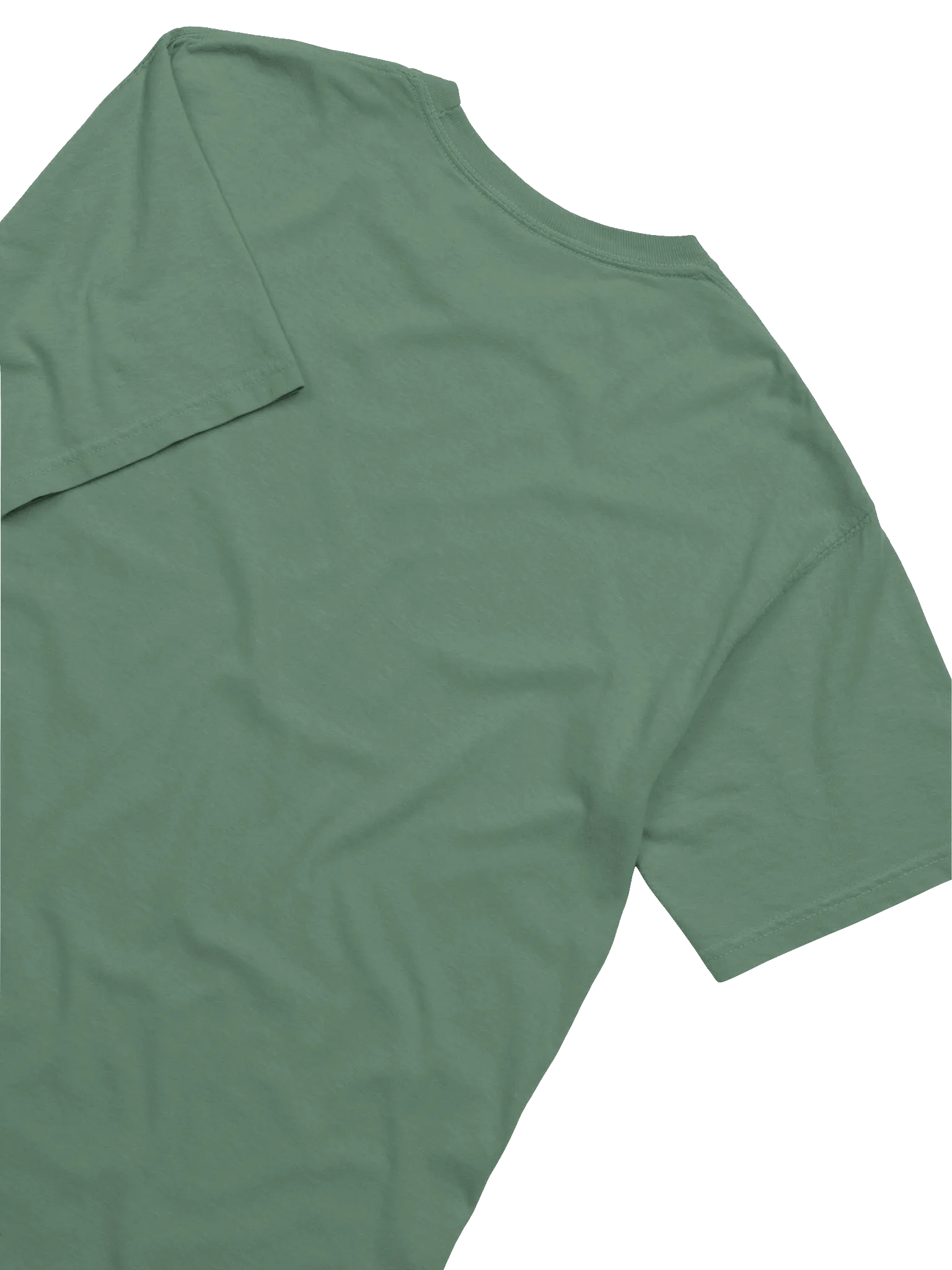 Sporty Bear Packers Hoodie T-Shirt product image (16)