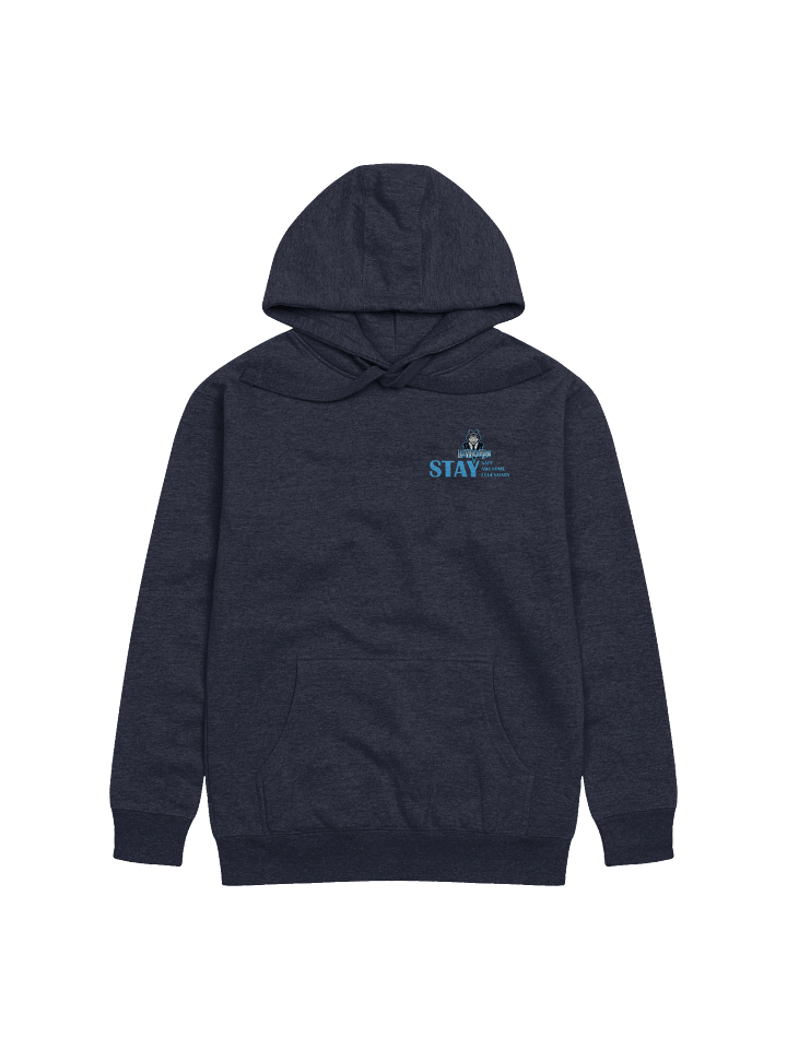 LWM Stay Hoodie product image (7)