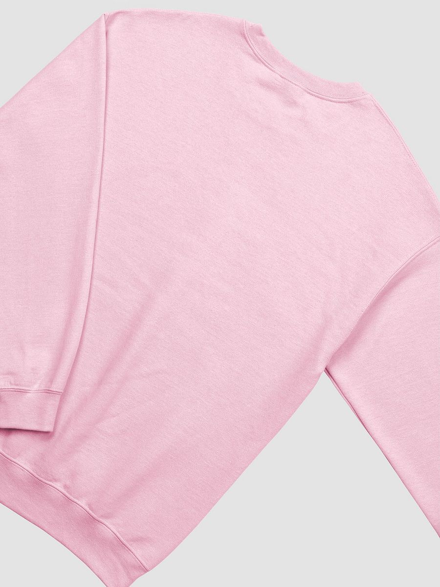 Sweatshirt: Trump Trash Removal product image (22)