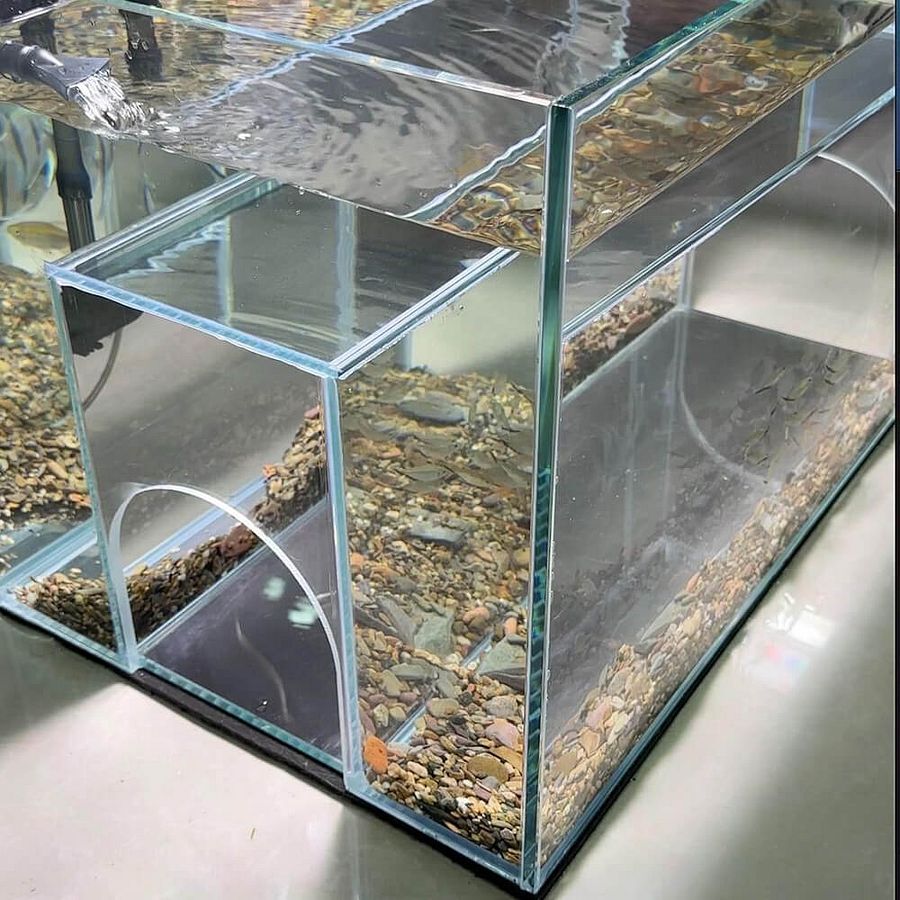 Internal Tunnel Cat Aquarium product image (4)