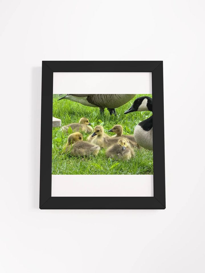 Mamma goose and babies product image (3)