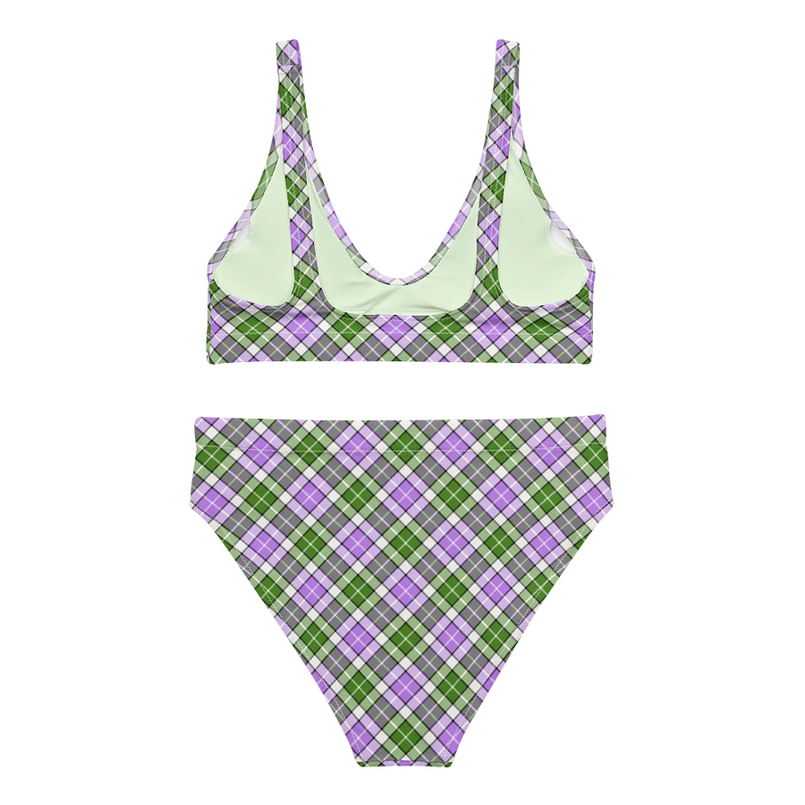 Lavender and Green Plaid Bikini product image (4)