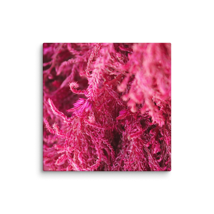 Pink Fluffy Botanical Canvas product image (18)