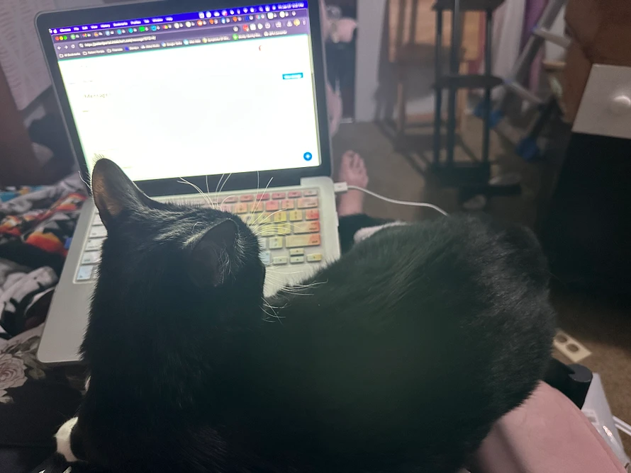 Earl Grey laying on my belly, keeping me from typing on the laptop in front of Earl while he nonchalantly gives his sister, Mocha, the stink eye off camera. The scene behind the cat and computer is utter chaos from me remodeling and redecorating.