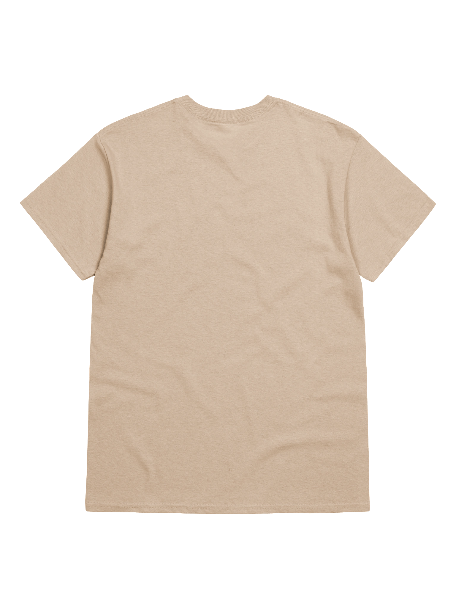 Rickey T-Shirt (Printed) 🐱✨ product image (6)