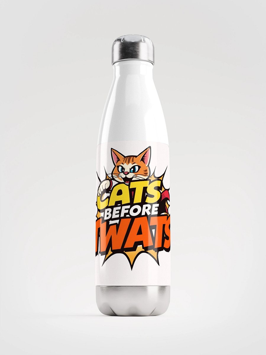 Cats before Twats Stainless Steel Water Bottle product image (1)