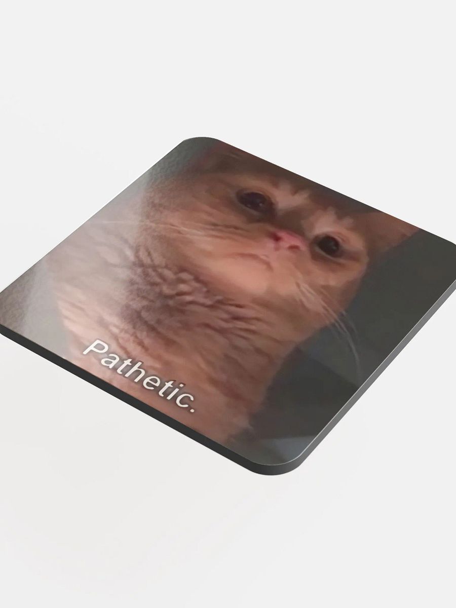 Glossed Cork Coaster: Meme Cats product image (4)