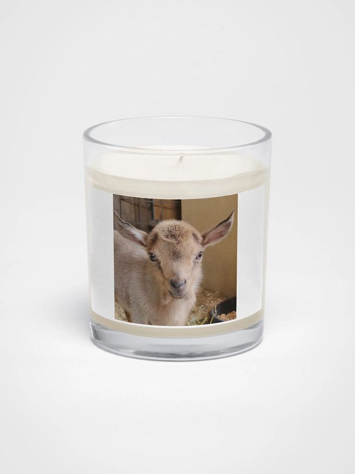 Baby Kiwi goat candle product image (1)