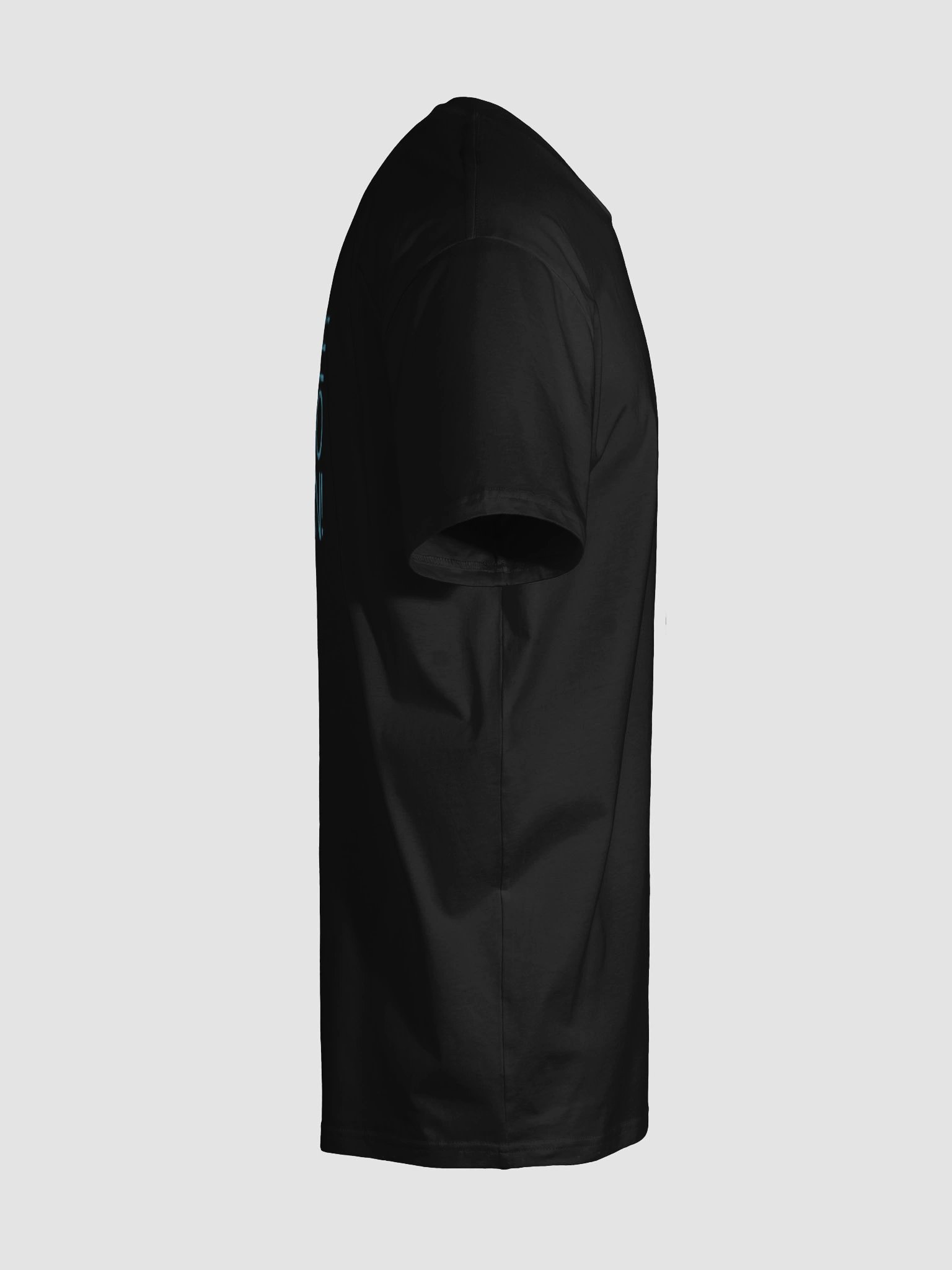 Logo T-Shirt product image (10)