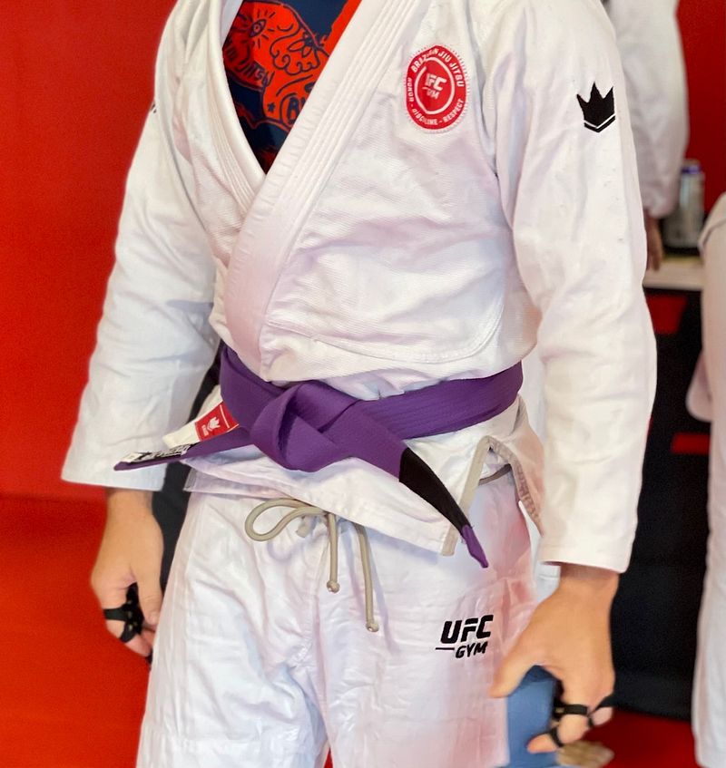 Purple Belt Moves! all the moves you need to succeed at purple belt in one place for one low price!