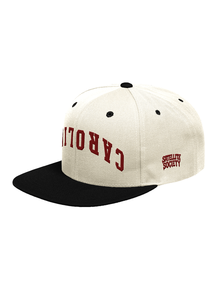 Satellite Society Upside Down Carolina Wool Snapback product image (20)