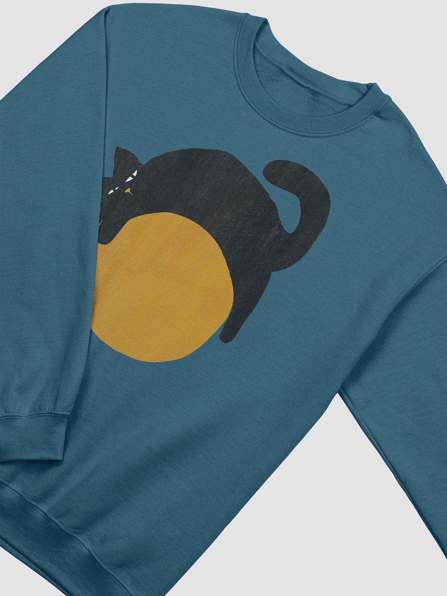 Lazy cat on a ball graphic Sweatshirt product image (31)