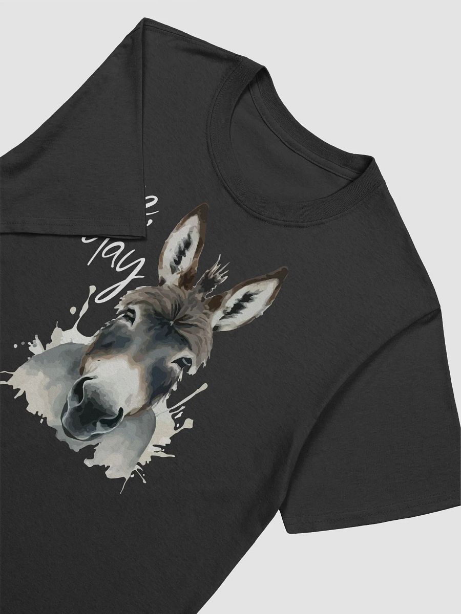 Me, today - Donkey product image (4)