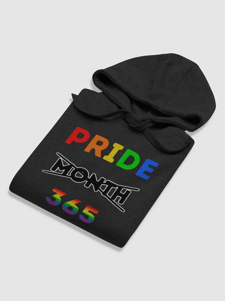 Pride 365 Hoodie product image (1)