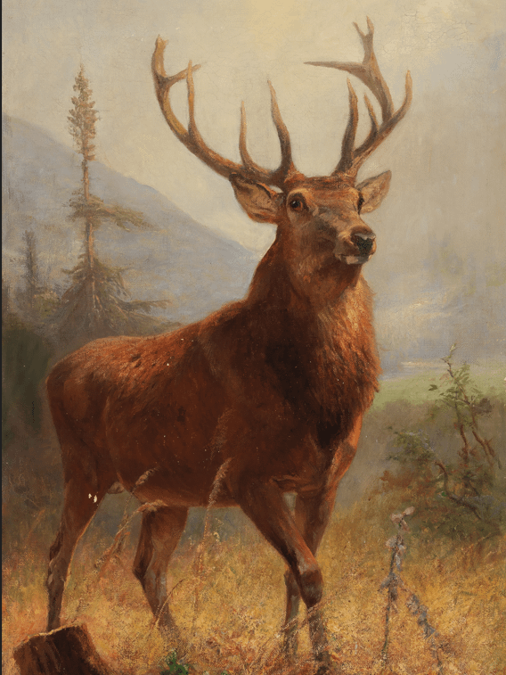 Vintage Animals Art Collection product image (3)